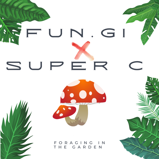 Fun.Gi X Super C