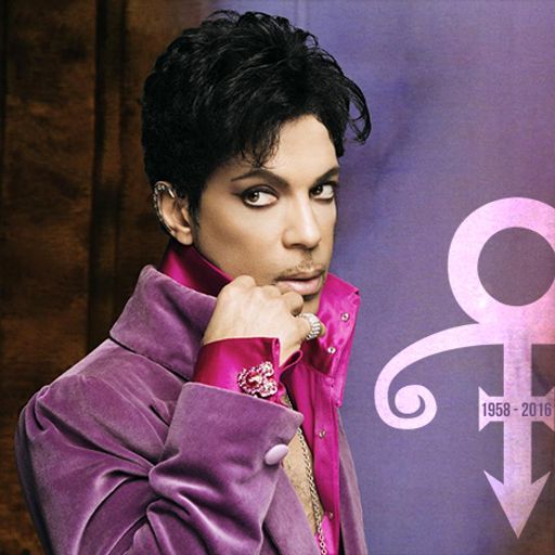 Purplepril - A Tribute 2 Prince