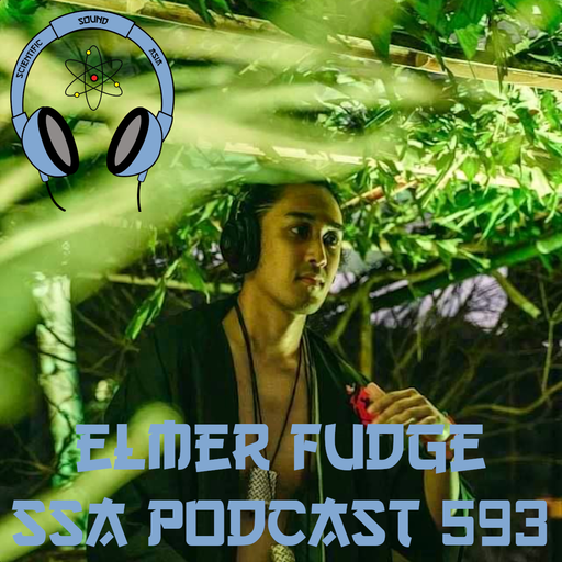 Scientific Sound Podcast 593 is Bicycle Corporations 'Foundations' 38 with Elmer Fudge.