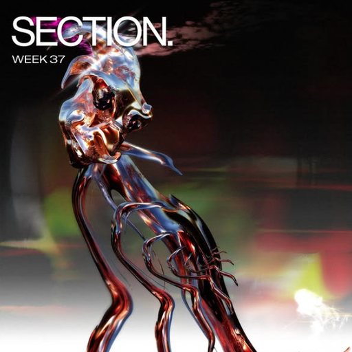 SHDW at SECTION. (London-UK) - 16 January 2026