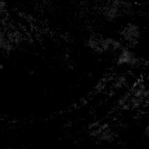 Beau Beaumont - 26th April 2025