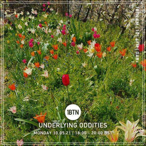 Underlying Oddities with Martha - 10.05.2021
