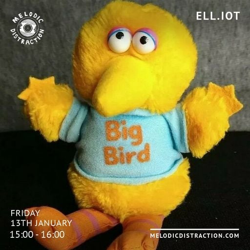 Ell.iot on MDR (January '23)