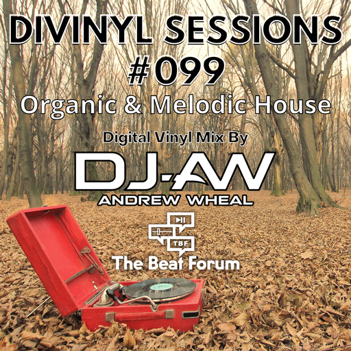 Divinyl Sessions 099 - Organic And Melodic House Mixed By DJ-AW