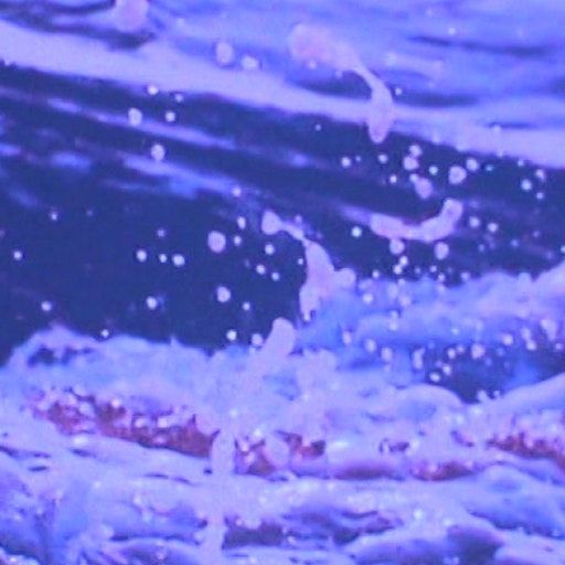 Main Stage – Tycho at Primavera Sound