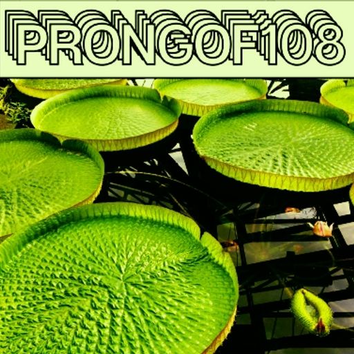 Prongof108 #113 Urlaubstraeume 2 with Samuele Paletti 09.07.2018