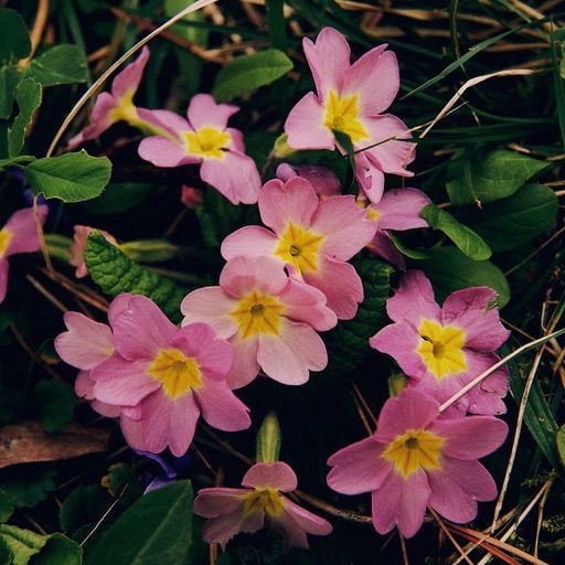 The Early Bird Show w/ Jack Rollo - From La Becque with love - 24th April 2026