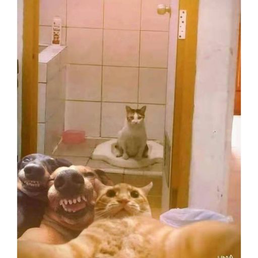 DJ'YE【Just For Yakult】《爆扣搖 X Old Town Road X 解憂邵帥_-_你是人間四月天 X 零一九零貳_-_忘川彼岸》Rmx 2x20 Private Mixtape