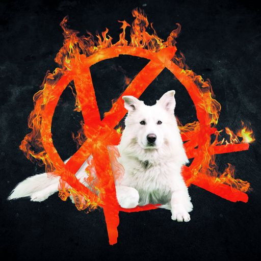 Midi Express 27/05/2024 KermesZ à l'Est