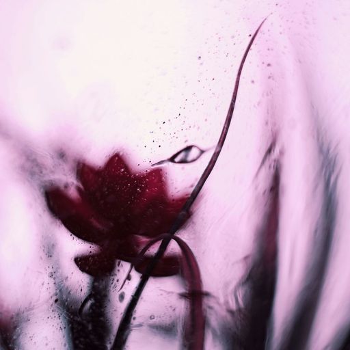 Naviar Broadcast #348 - liquid flowers hum – Wednesday 4th December 2024