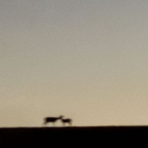 PEACE MIX w/ ABSENT LANGUAGE - 3rd January 2026