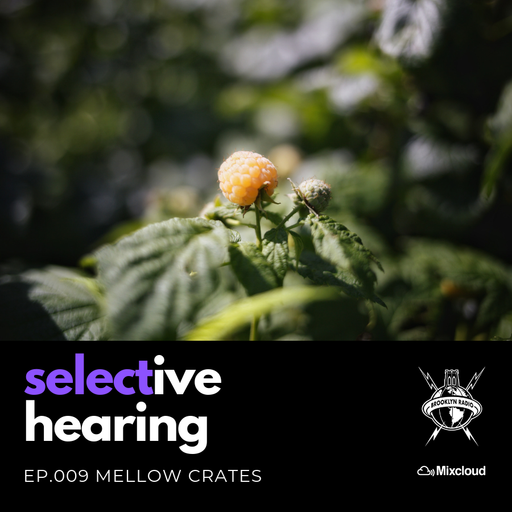 Selective Hearing Episode 009 - Mellow Crates