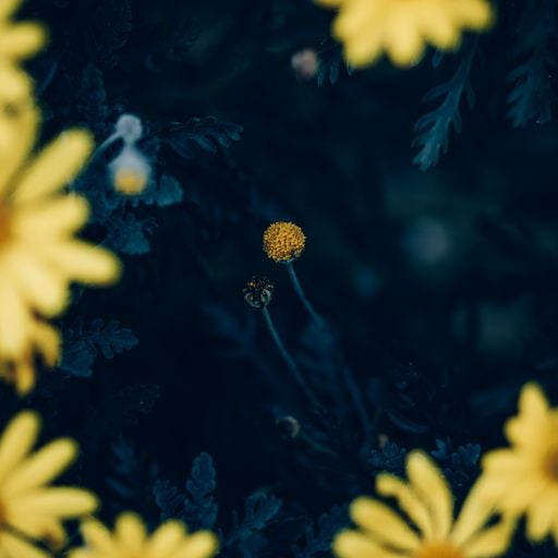 before summer kicks in. live on ttns.uk