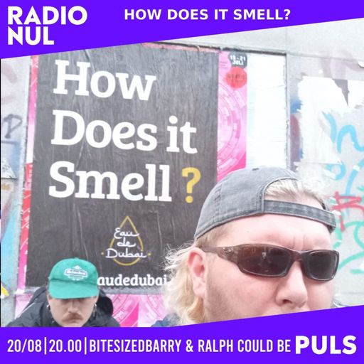 How Does It Smell? /// Variety /// Bitesized Barry /// Ralph Could Be - 20/8/2024 /// puls