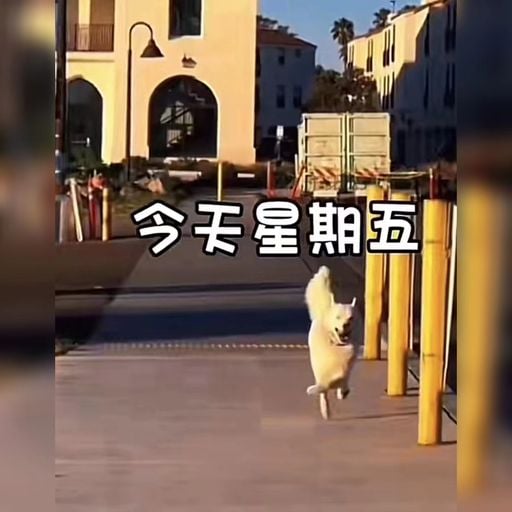 DJ'YE【Tsin Private Mix V8 VVIP】《閩南狼 PYC - 中國老總 X WUKONG - 黃飛鴻重生 X 盧盧快閉嘴 - 字字句句》Mixtape 2x23