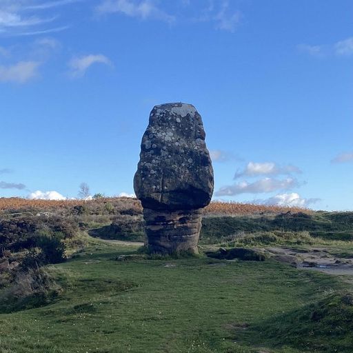 Charlie Satsumas - 8th November 2025