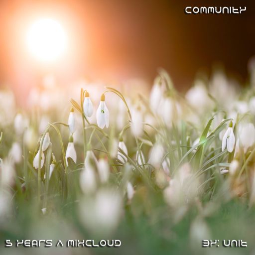 Community
