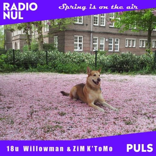 Spring Is On The Air - Willowman & ZiM K'tomo / 16-5-23