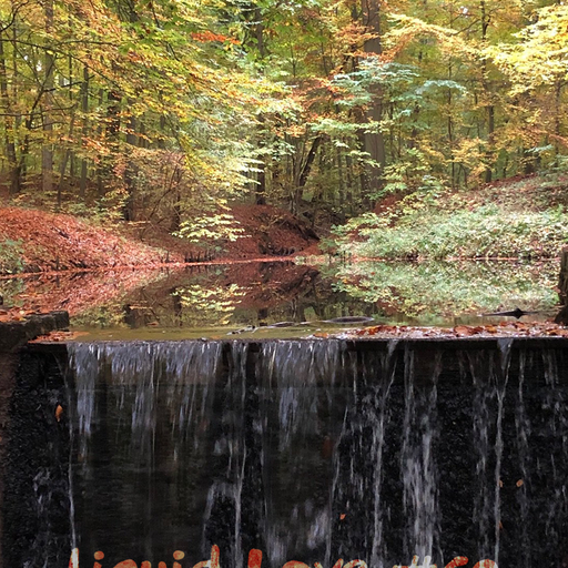 Liquid Love #50 w/ Gene G-spot Siewing 05.01.2021