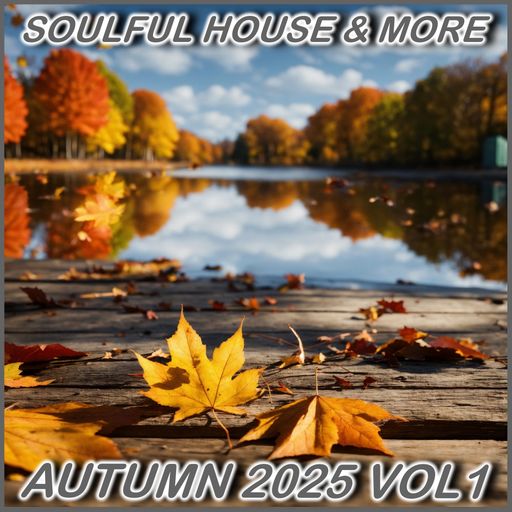 Soulful House & More Autumn 2025 Vol 1