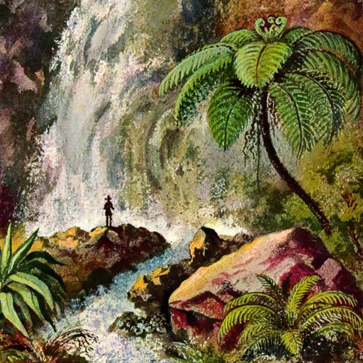 Winter Light / Summer Heat #286 Tangkubuhanprauw