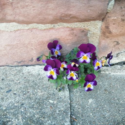 DREADheadz Dub´n´Reggae 7 TRP homerec 139 vom 1.4.2025