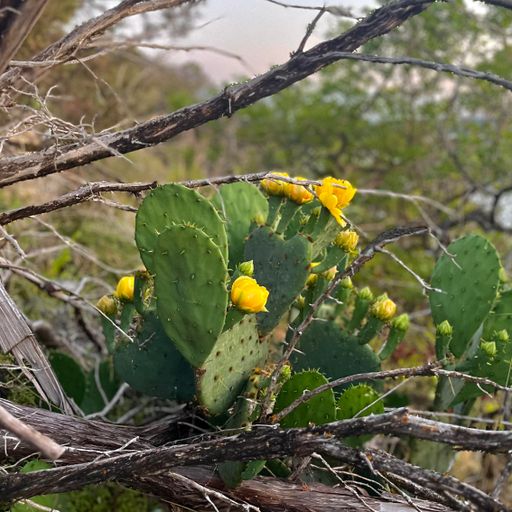 Shared Frequencies Radio Takeover w/ SEWA 31/08/24 - [Voices Radio]