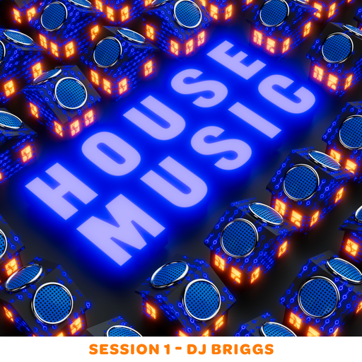 House Session 1 - Dj Briggs
