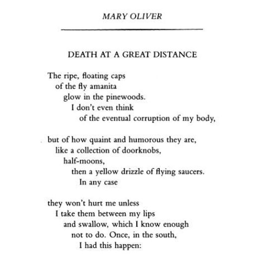 Cryptomnesia #23 Spcl Gst Anastasia Hafermaas Ftrng Mary Oliver & the "Natural World" 01.06.2019