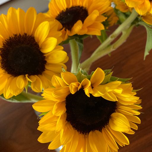 On the edge of the labyrinth (Eclectic Playlist Series 10.7)