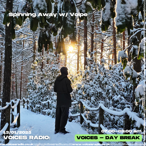 Spinning Away w/ Volpe - 13/01/25 - Voices Radio