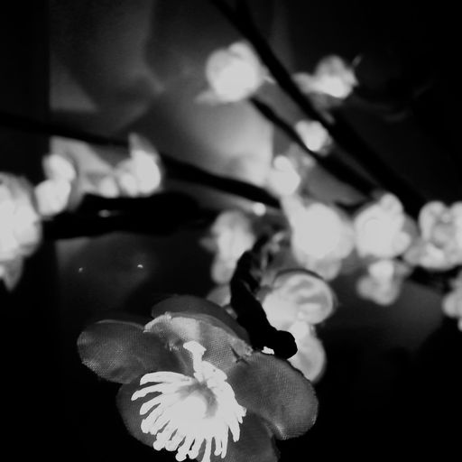 Richard Knox - A Loss of Glowing Light
