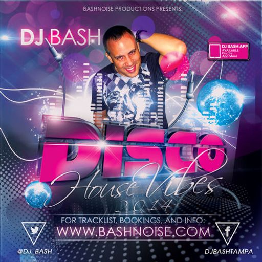 Disco House Vibes 2014