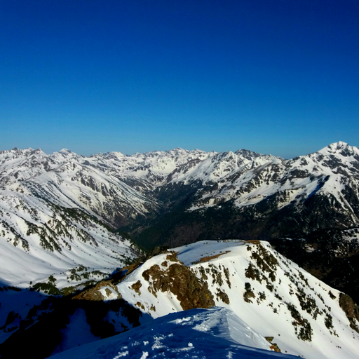 Beijing 2022 : Episode 1 [ft Perennial Pyrenees]