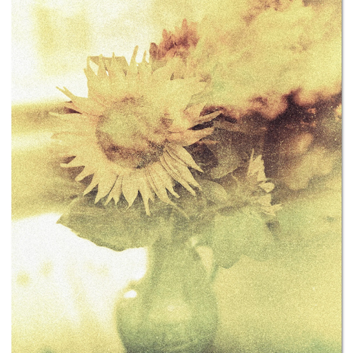 Volatile states_vol_7