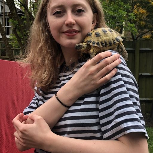 MLE with MOLCHAT DOMA // 06-05-20