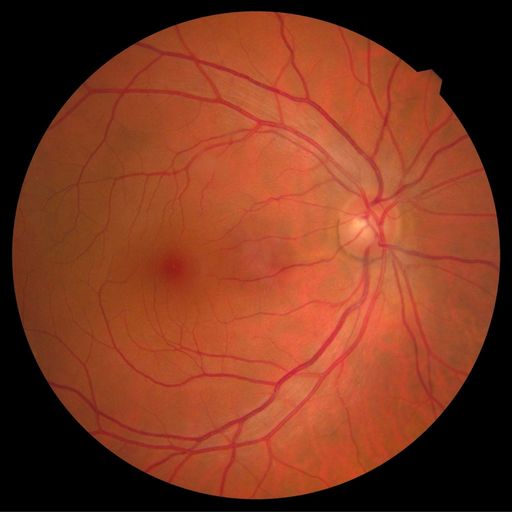 Also Available in Digital 8