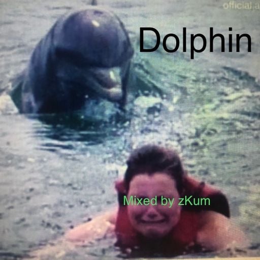 Dolphin #3