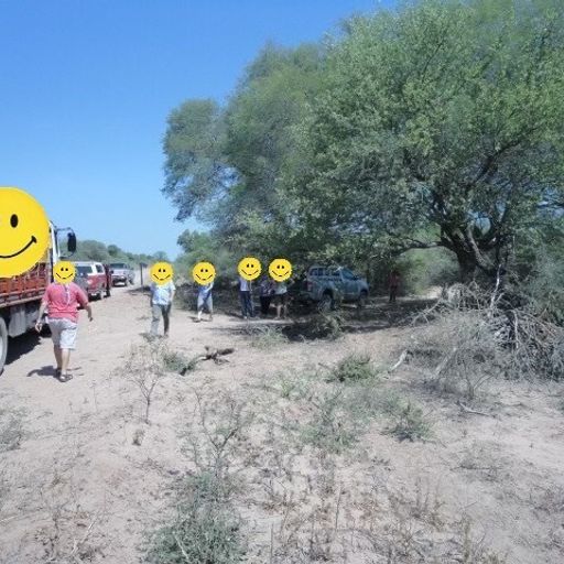 Ear - 16th October 2025