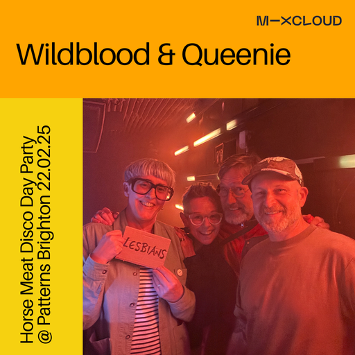 Wildblood and Queenie: Horse Meat Disco Day Party @ Patterns 22.02.25