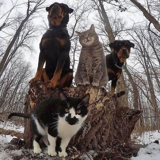 The Vinyl Sessions Radio Show on Kane FM with alindamix 2nd Feb 2020