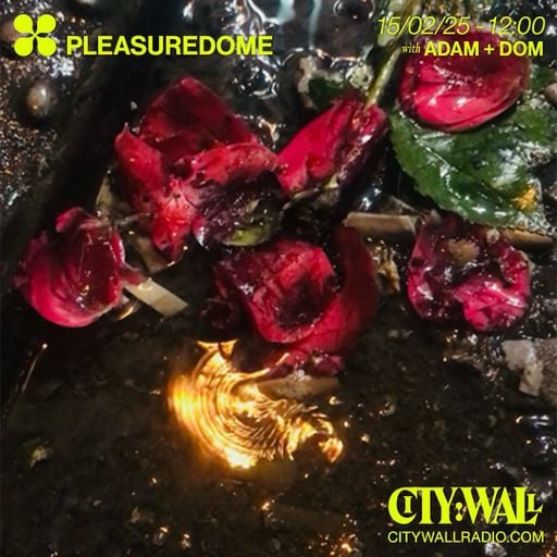 Pleasuredome w/ Adam + Dom - February 2025