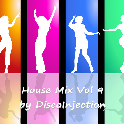 House Mix Vol. 9 / 2023 / By DiscoInjection