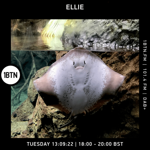 Ellie - 13.09.2022