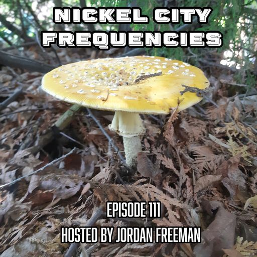 // Nickel City Frequencies on CKLU 96.7 FM // Episode 111 // Hour 2 // Hosted by Jordan Freeman //