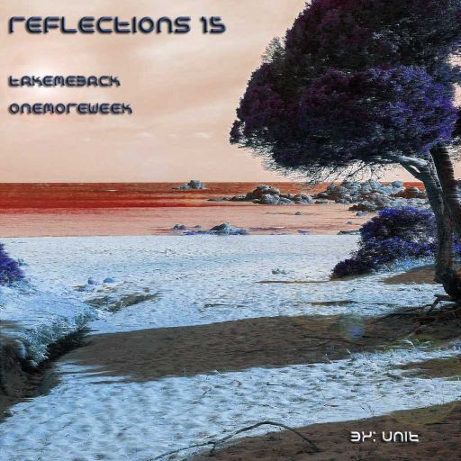 Reflections 15 / take me back...