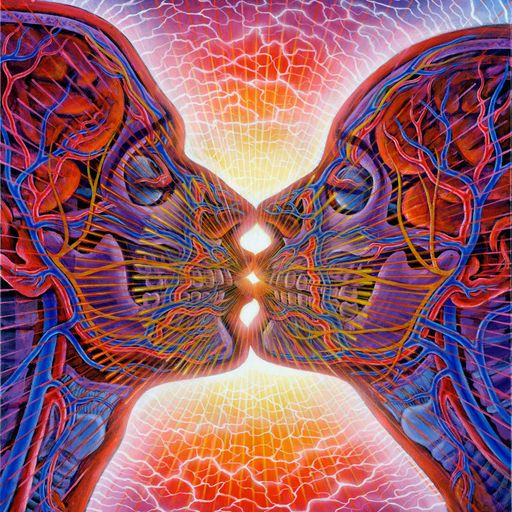 Balearic Dinner @ Hugo et Moi's by Segu