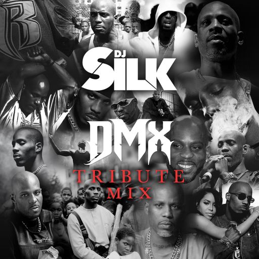 DJ SILK - DMX TRIBUTE (Live On Twitch)