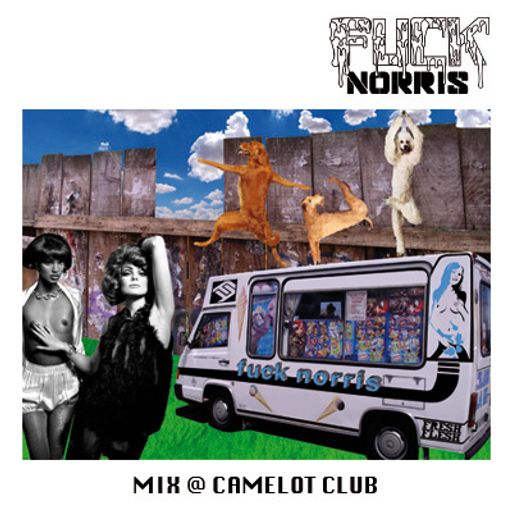 Fuck Norris @ Camelot Club 