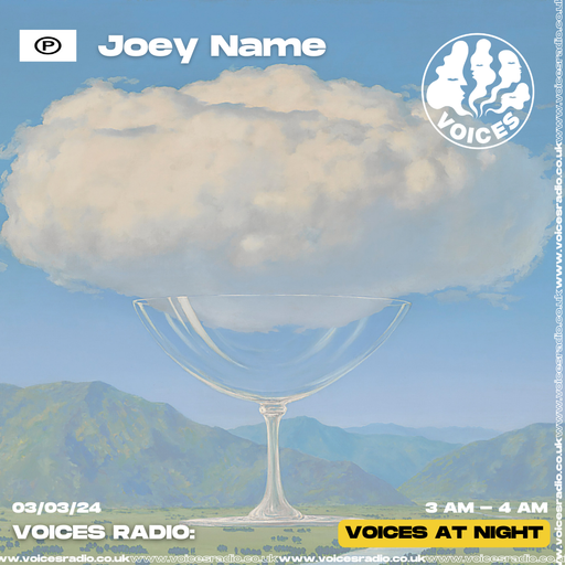 Joey Name - 03/03/24 [Voices Radio]